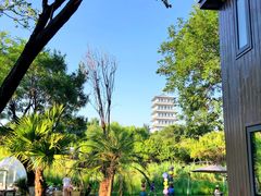 -Supine Bistro溯泮餐厅