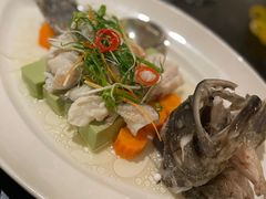 清蒸捞汁石斑鱼-铭轩中餐厅·海南菜·粤菜(亚龙湾瑞吉店)