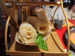 炸豆皮-谭鸭血老火锅(万象九宜城店)