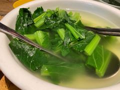 沾水苦菜-缘生态云南菜·野生菌庭院餐厅(华侨城店)