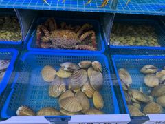 -震海贝烤贝·民俗特色店(延吉总店)