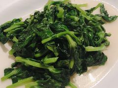 清炒豆苗-苏浙汇(朝外店)