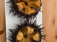 -海胆小馆(东北水饺·春柳店)