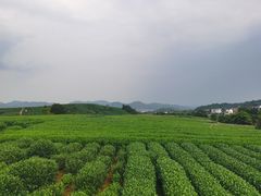 -听风阁农家私房菜茶楼(龙坞店)