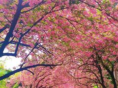 -西安理工大学(金花校区)