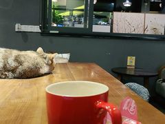 -咖法森林·咖啡  酒吧(天河店)