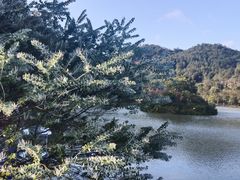 -广州白江湖森林公园