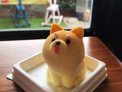 柴犬芝士蛋糕-柴犬高等学院·狗咖·柴犬售卖·宠物训练