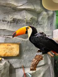 -Zoolung Zoolung动物主题公园(海信广场店)