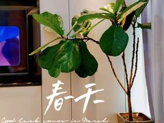 -同步齿科·数字化正畸种植口腔中心(前山店)