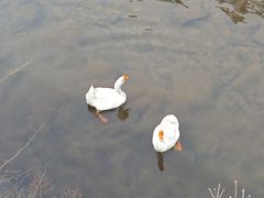-云中大漈