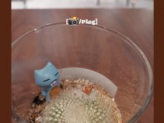 -Fridi Patisserie Cafe