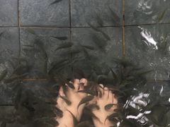 -嘉和K6温泉微度假