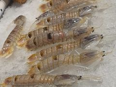 -蓝珊海鲜澳洲和牛自助餐厅