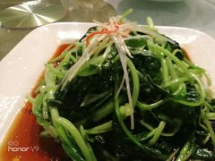 -正兴蜀园(科技园区店)