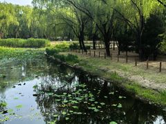 -古塔公园