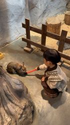 点击看大图 -Zoolung Zoolung动物主题公园(海信广场店)