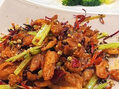 -鸢飞潍坊菜馆(鸢飞大酒店)