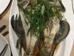 -Isla Sugbu Seafood City