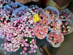 -桂林市花鸟市场