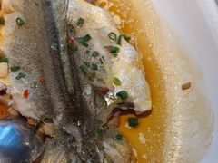-滋粥楼·顺德菜海鲜茶点(方舟店)