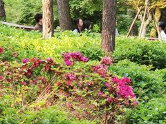 -临平公园(临平街道)