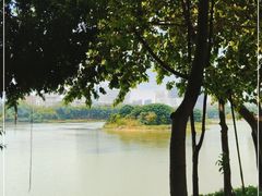 -南宁南湖公园
