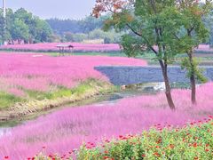 -江苏三台山国家森林公园