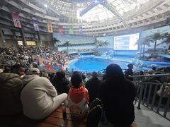 -海合安成都极地海洋公园