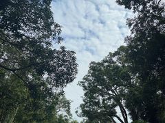 -广东温泉宾馆
