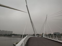 -映月湖中央公园