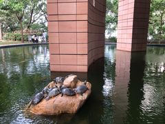 -香港大学