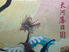 -烟台海昌鲸鲨海洋公园