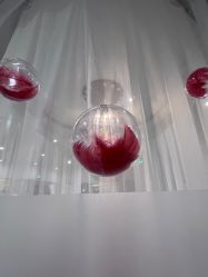 点击看大图 -薇薇安花系SPA