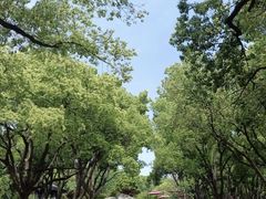 -无锡梅园公园