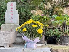 -庐山风景区花径公园