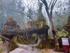 -山王坪喀斯特国家生态公园