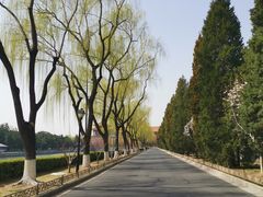 -东华门大街小区