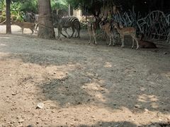 -长鹿旅游休博园
