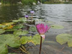 -上海植物园-4号门售票处