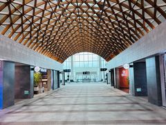 -成吉思汗国际机场