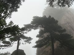 -黄山风景区