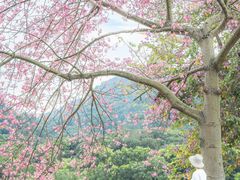 -风云岭森林公园