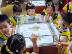 -上海昆虫博物馆