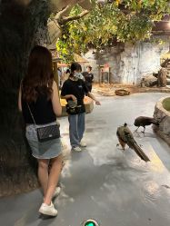 -Zoolung Zoolung动物主题公园(海信广场店)