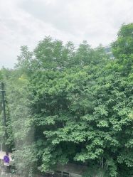 点击看大图 -上海首尔丽格医疗美容医院