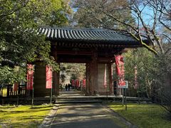 -醍醐寺