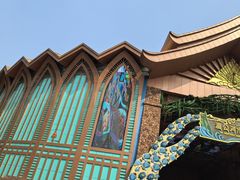 -西双版纳原始森林公园