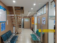 -米苏动物医院·犬猫专科·骨科外科内窥镜