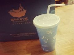 -猫的天空之城概念书店(西塘古镇店)